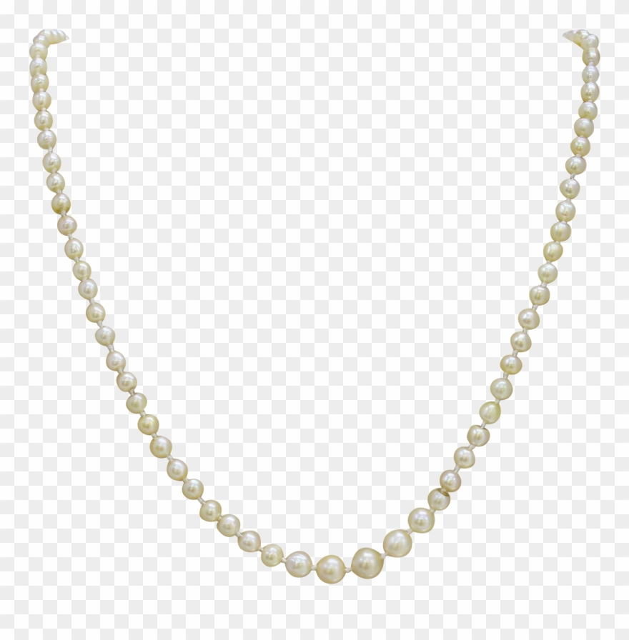 Strand Of Pearls Necklace - Chain Necklace Transparent Background Clipart