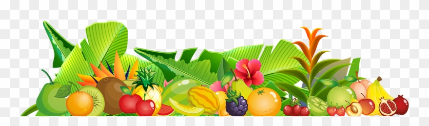 Plantsnfruitsleft 01 01 - Berry Clipart