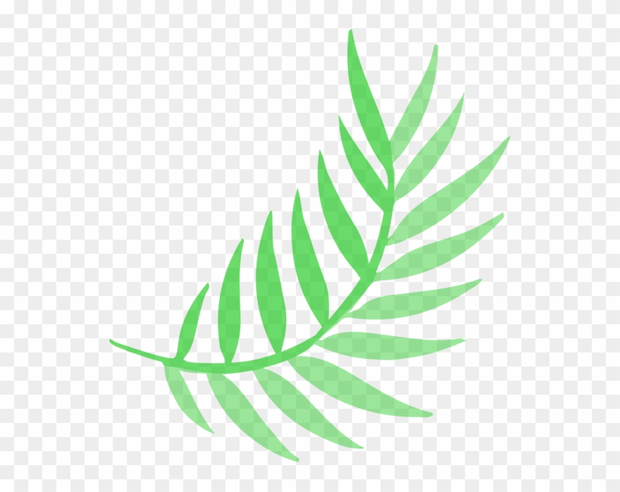 Original On Transparent Leaf Willowtree - Consultant Clipart