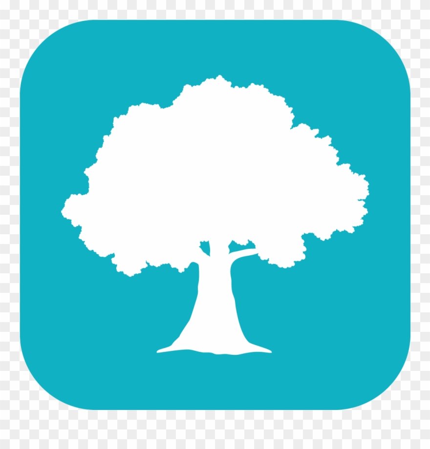Willow Oaks Stories & Songs App Prototype Icon - Illustration Clipart