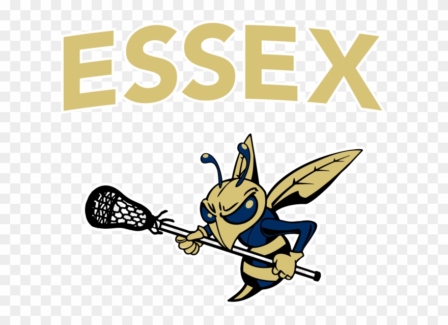 Essex Hs Lacrosse - Less Is More Font Clipart
