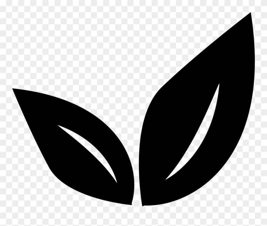 Png File Svg - Sapling Png Clipart