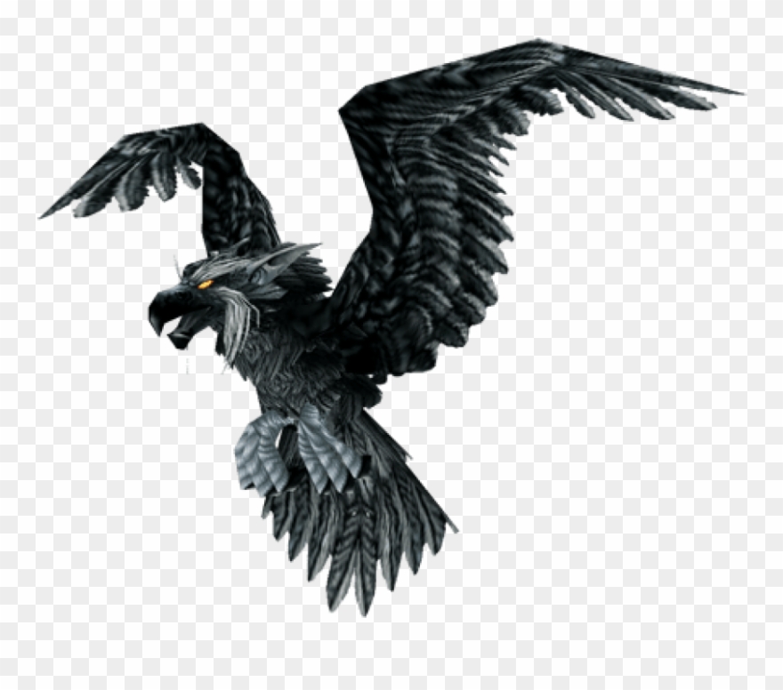 Free Png Download Raven Bird Png Images Background - Raven Bird Clipart