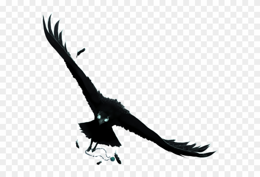 Raven Art Png - Raven Bird Anime Raven Clipart