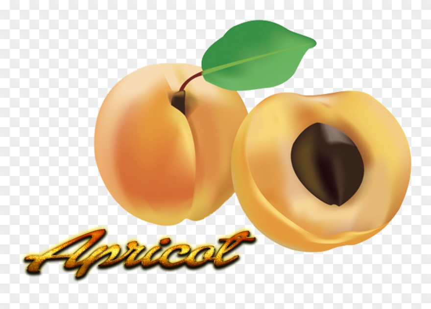 Apricot Png - Fruit Clipart