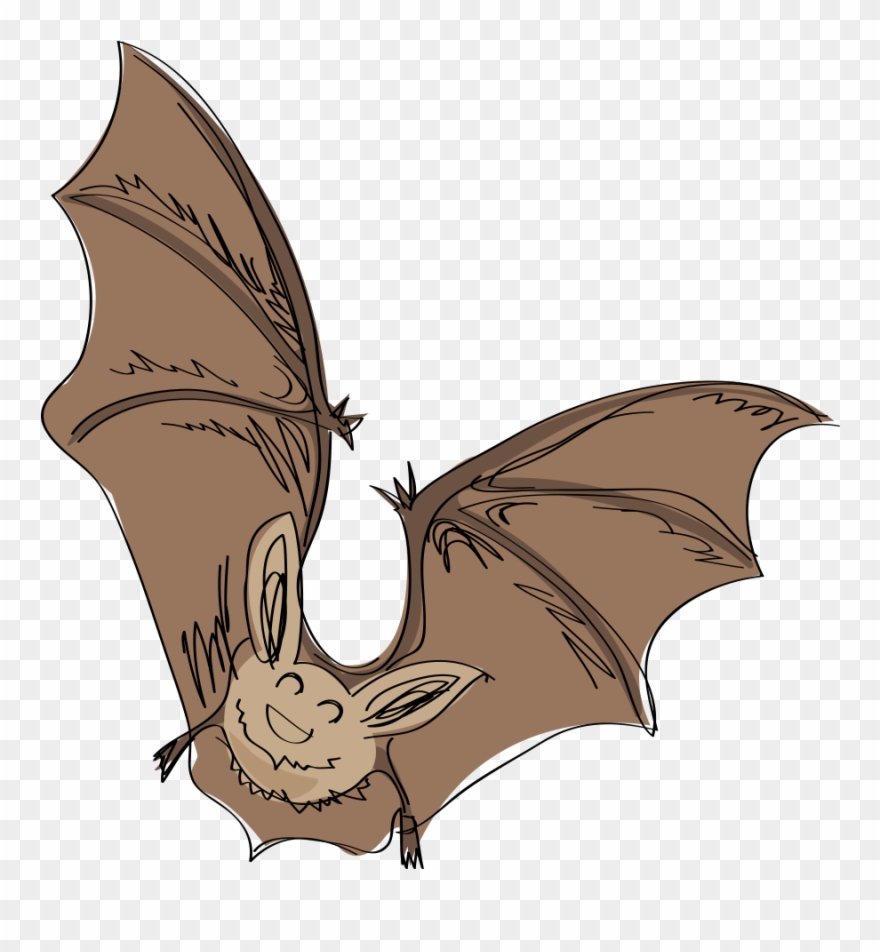1 - 2 - 3 - - Little Brown Myotis Clipart