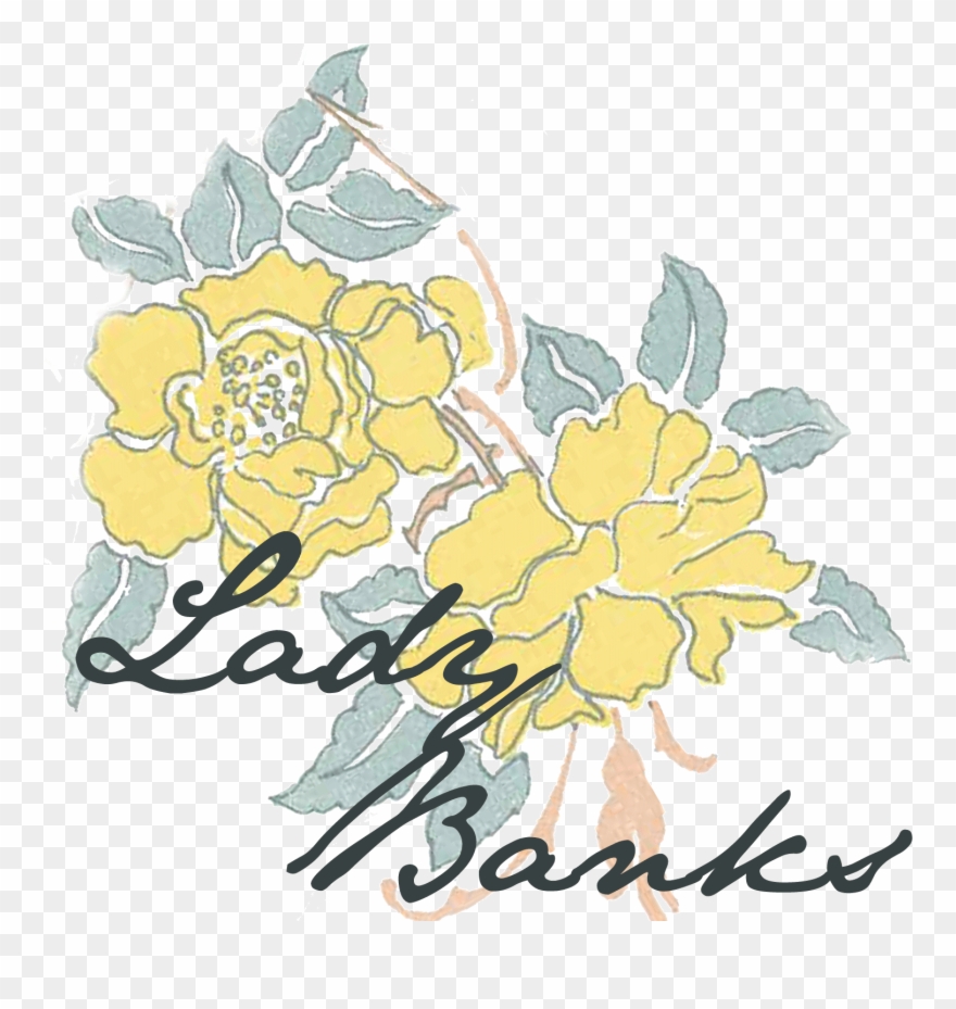 Lady Banks - Garden Roses Clipart