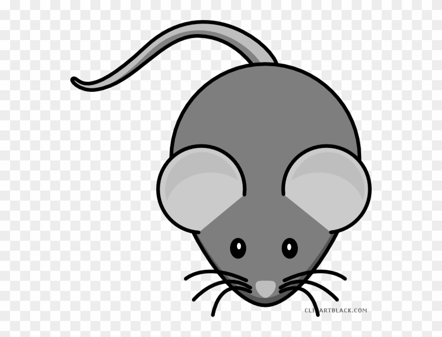 Mouse Clipart Animal - Cute Rat Clip Art - Png Download