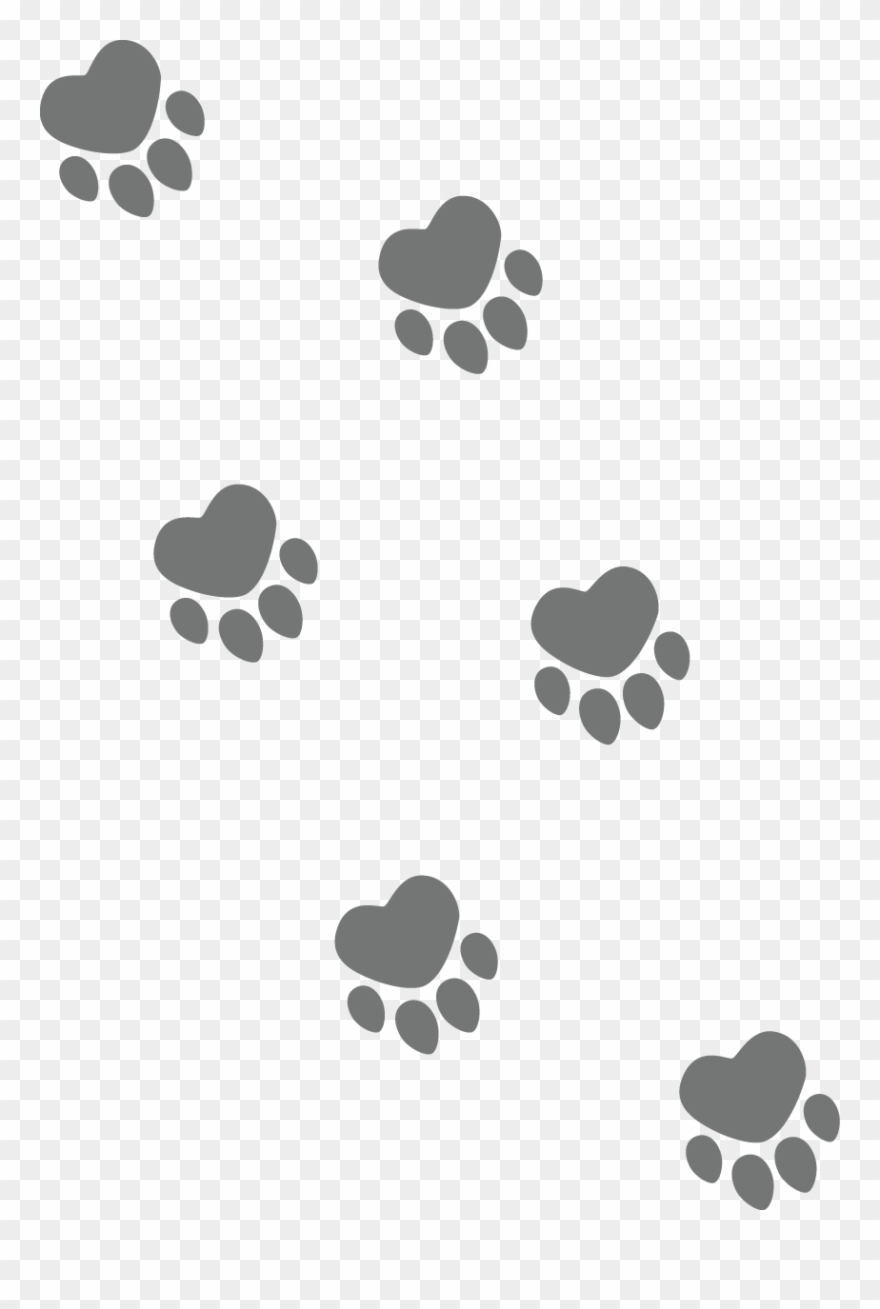 Pet Sitters Home, So That Your Pet Can Get To Know - Paw Clipart