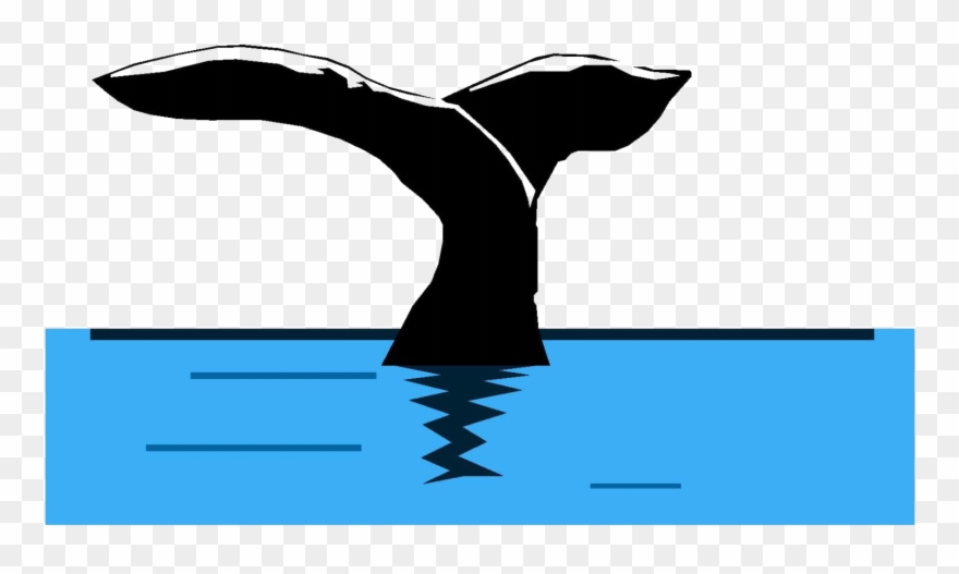 Cropped Tpeci Whale Clipart