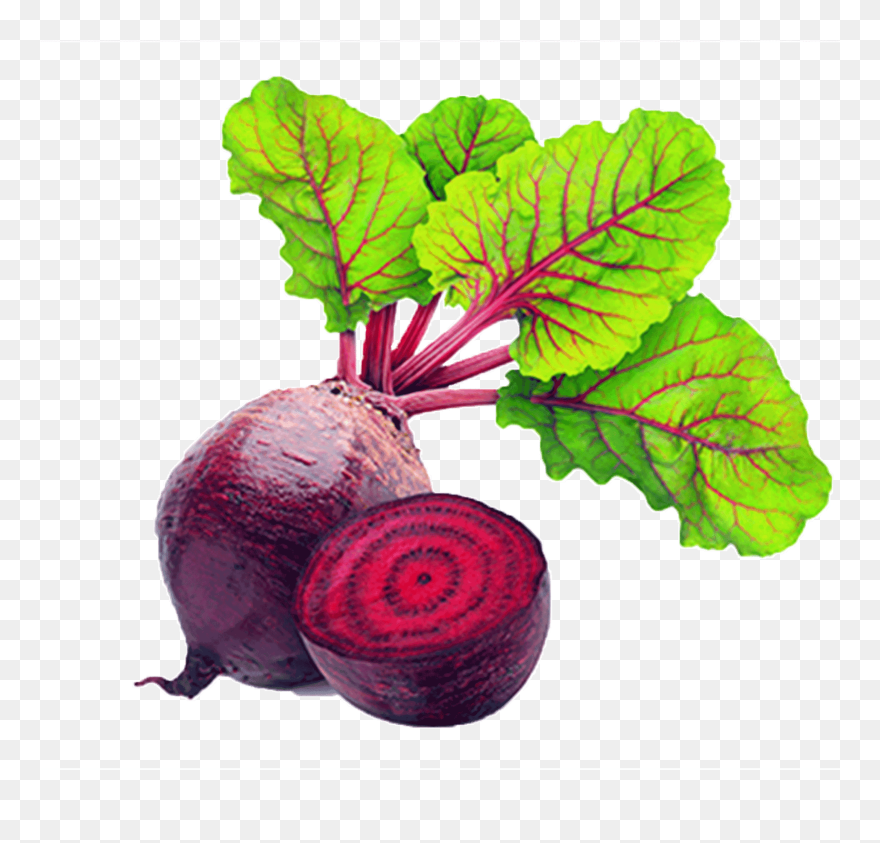 Red Beet Root Physical Material - Beets Vegetable Clipart