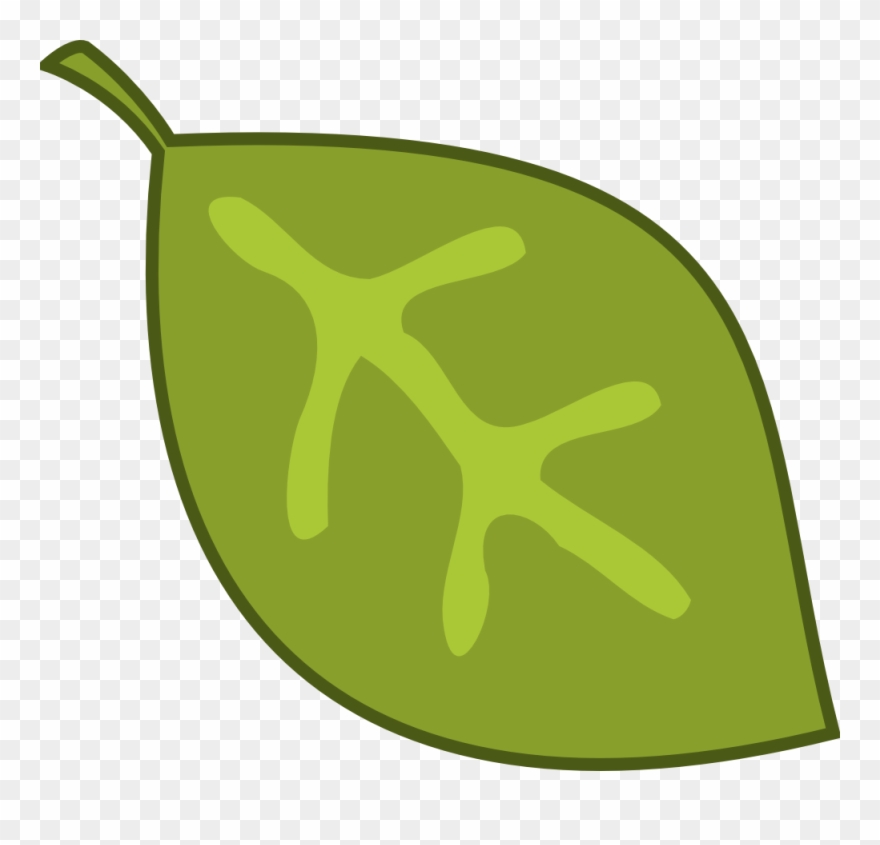 Seaweed Clipart Rainforest Leave - Png Download