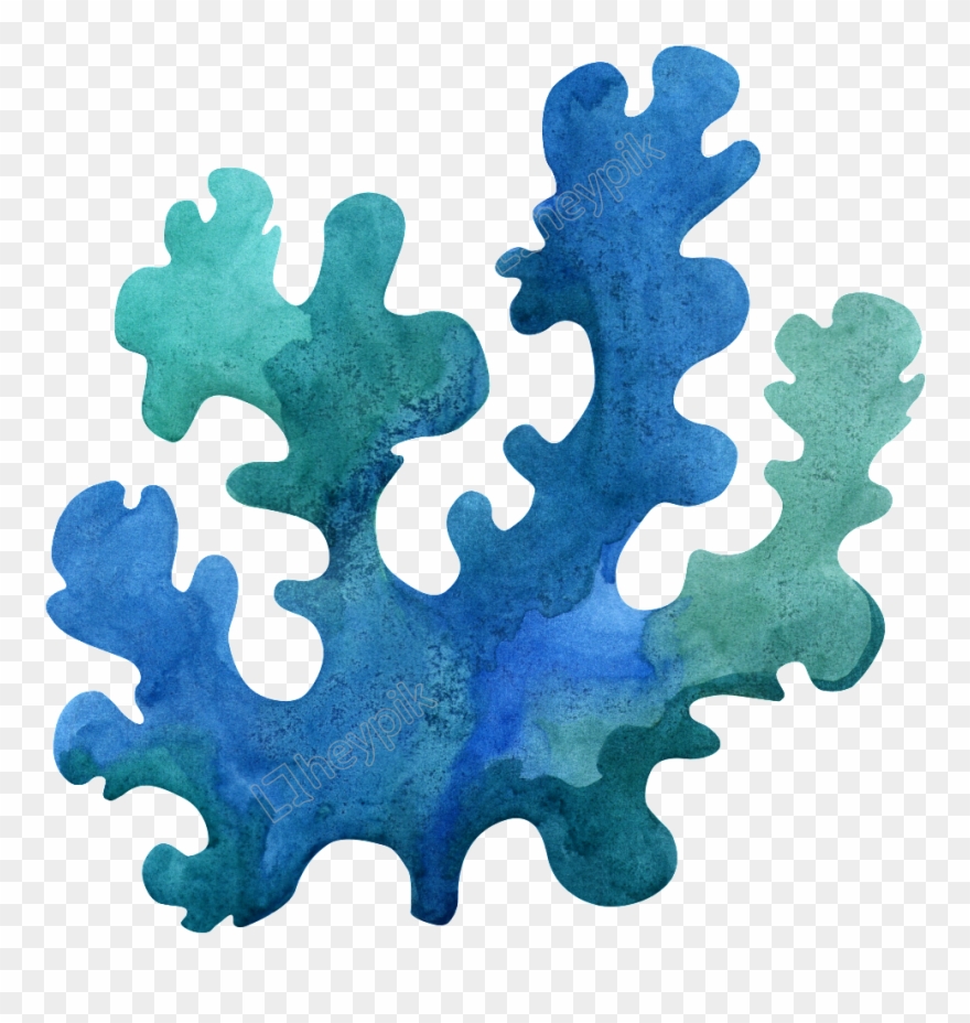 Seaweed Png - Sea World Water Color Clipart