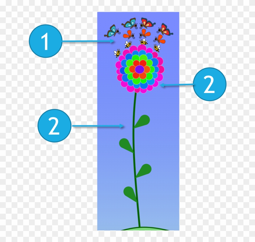 Flower Diagram - Circle Clipart