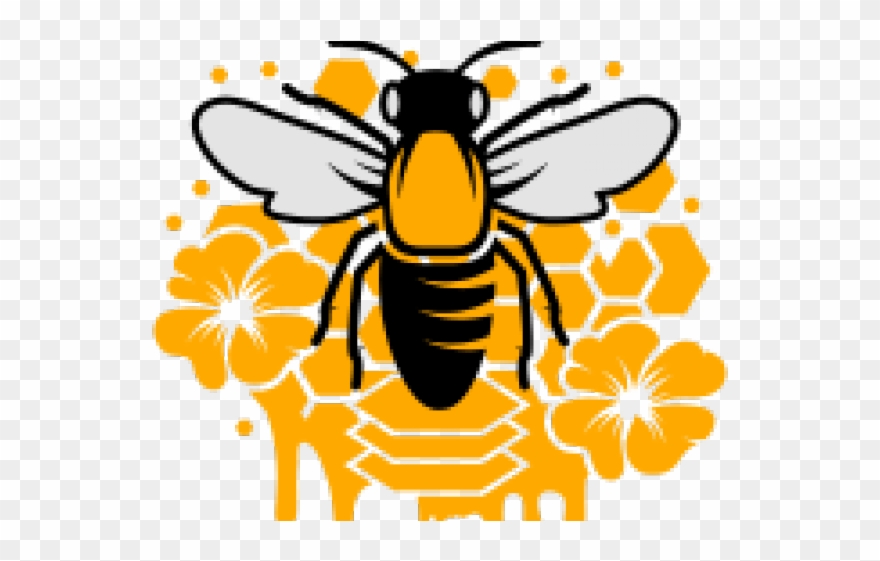 Bee With Crown - Bienenwabe Clipart