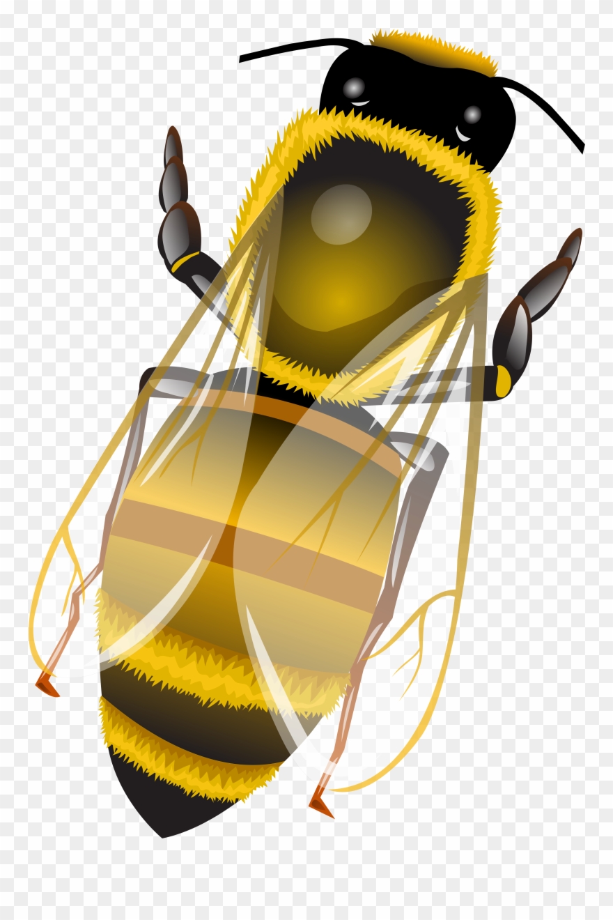 Bee Png Clip Art Transparent Png