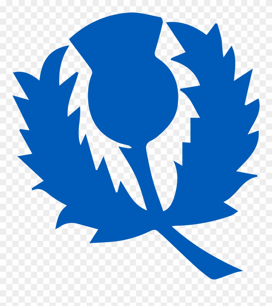 Scotland Women &ndash Cricket - Cricket Scotland Clipart