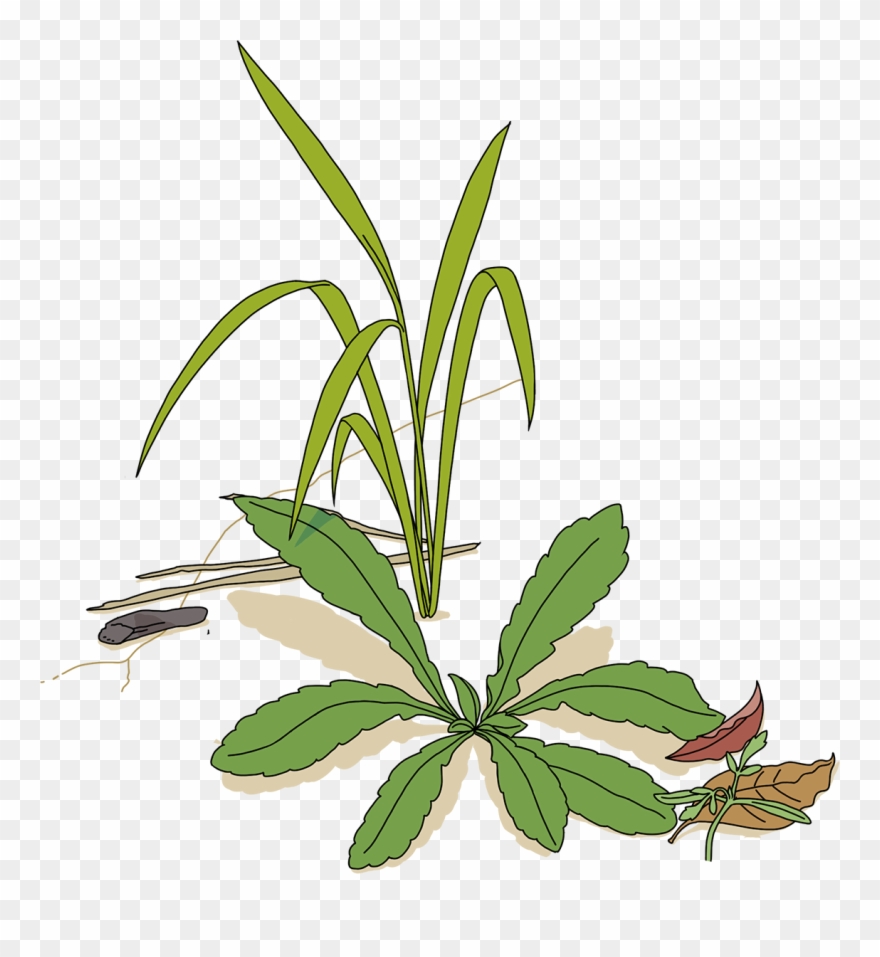 Introduction Work-style Reforms - サイボウズ アリキリ Clipart