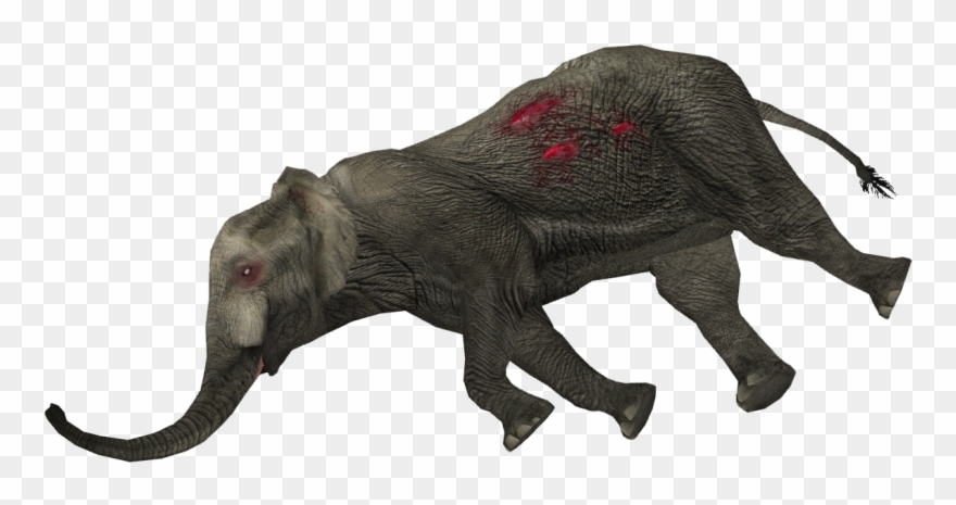 1164 X 1164 10 - Dead Animal Png Clipart