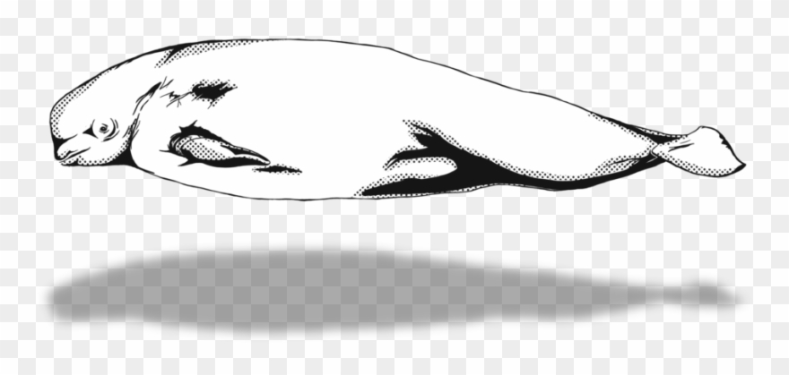 1024 X 640 5 - Sketch Clipart