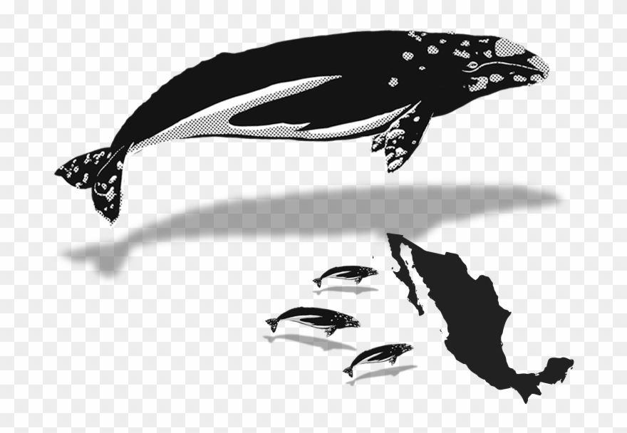 February - Mexico Map Clipart