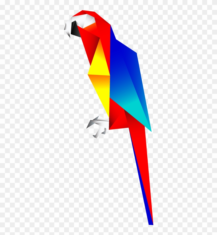 Scarlet Macaw Clipart Transparent - Scarlet Macaw Illustration - Png Download