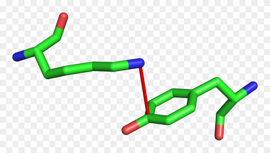 Π-cation Interactions Are Possible Between Positively - Cation Pi Interaction Tyr Clipart