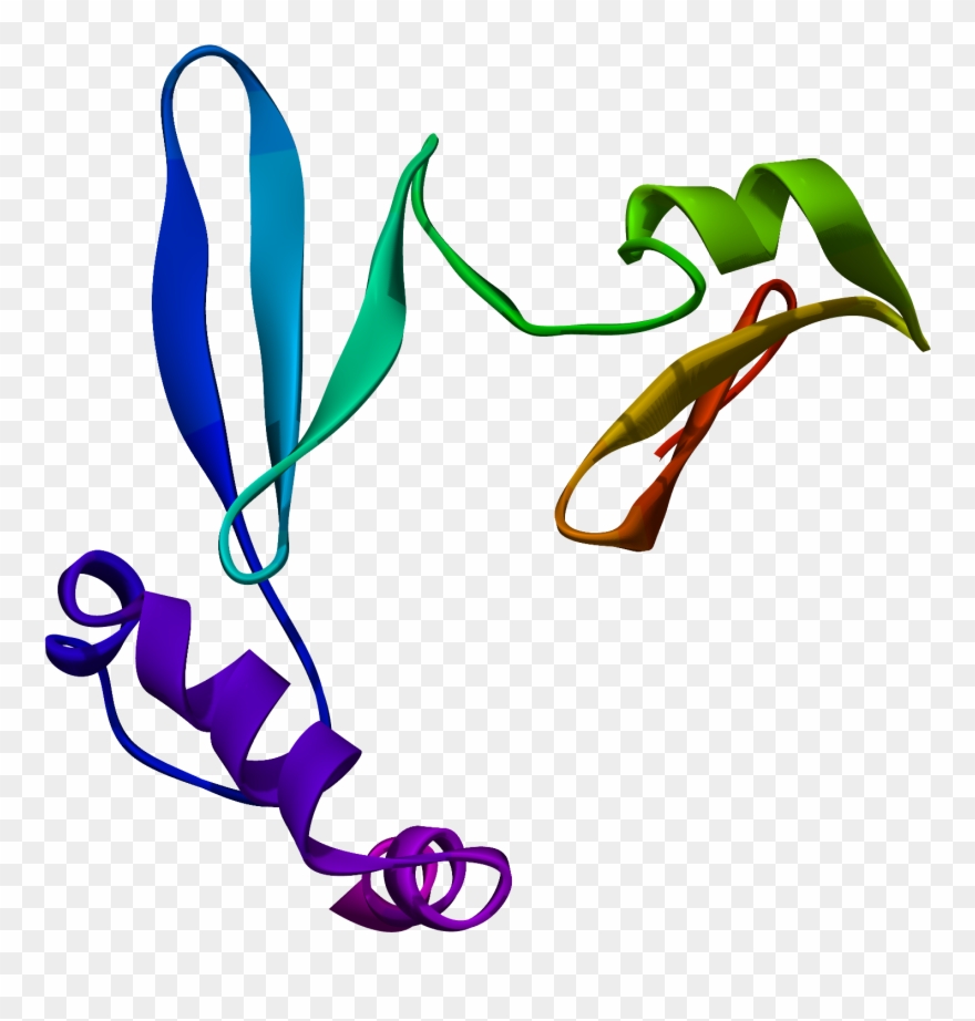 Ghrelin 3d Predicted - Gastrina Enzima Clipart