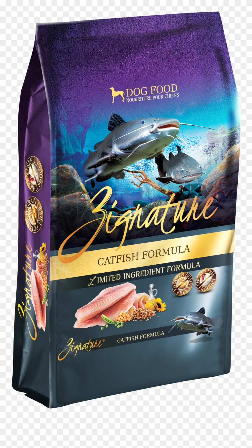 Catfish Formula - African Grey Clipart