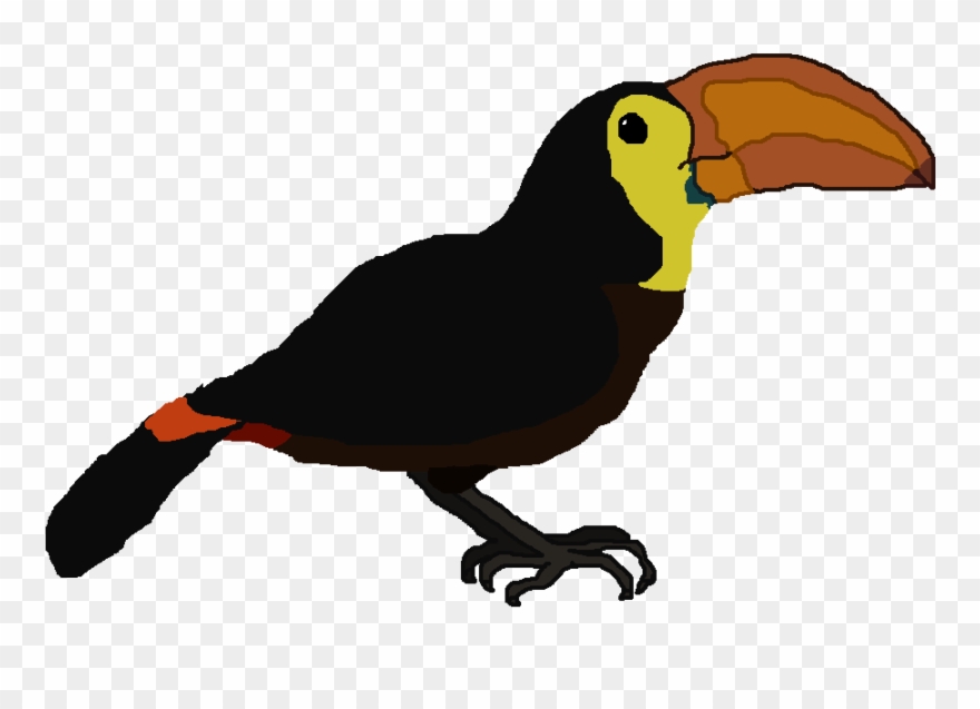Clip Art , Png Download - Toucan Transparent Png