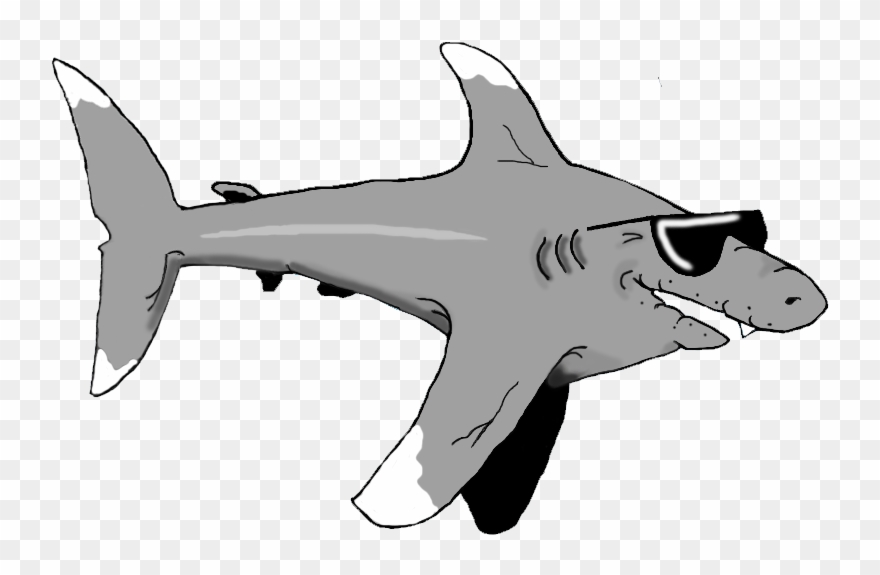 Clipart Shark Grandpa - Bronze Hammerhead Shark - Png Download