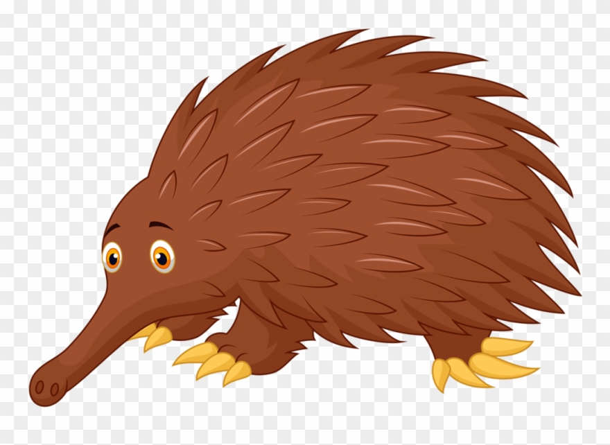 Фотки Mammals, Clip Art, Animals, Illustrations - Echidna - Png Download