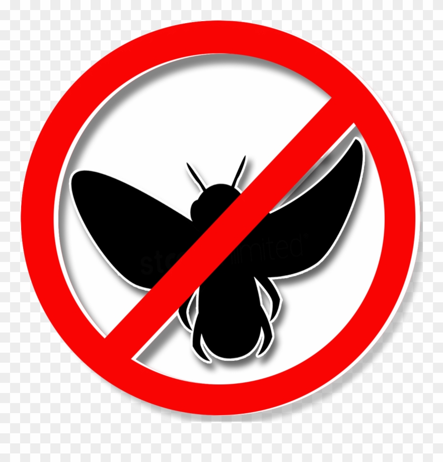 Area Rug Cleaning College Station Clipart