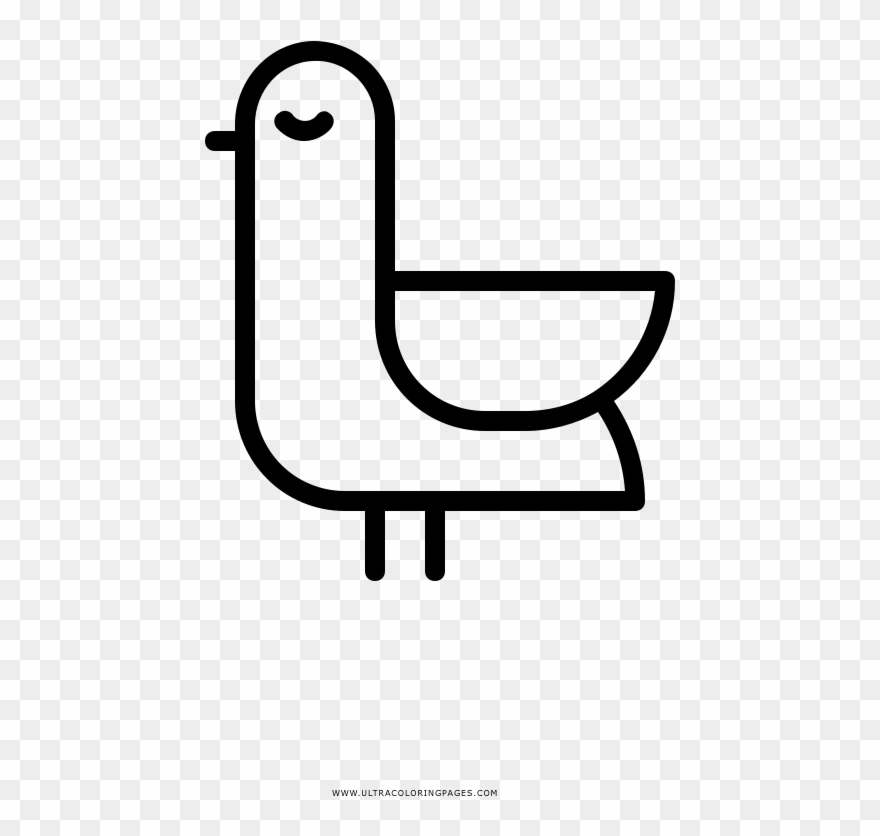 Seagull Coloring Page - Dibujo Gaviota Facil Clipart
