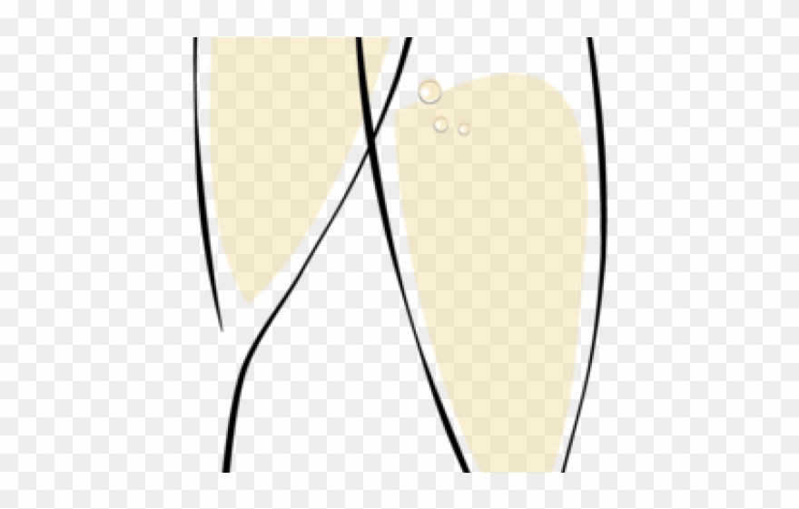 Champagne Clipart Transparent Background - Png Download