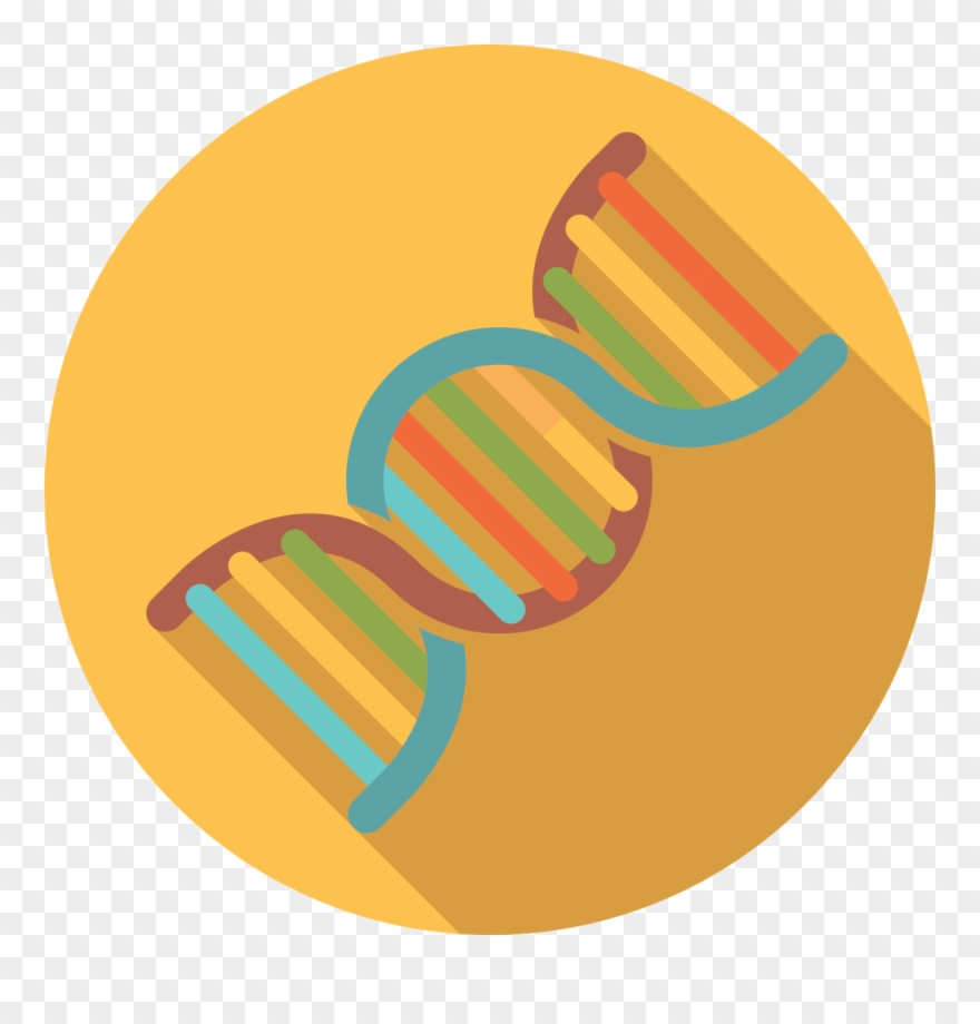 Genetic Conditions Can Contribute To Infertility - Circle Clipart