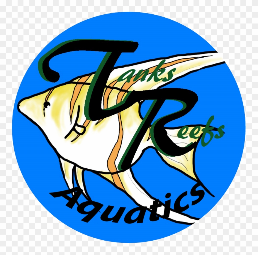 Aquarium Clipart Fish Store - Png Download