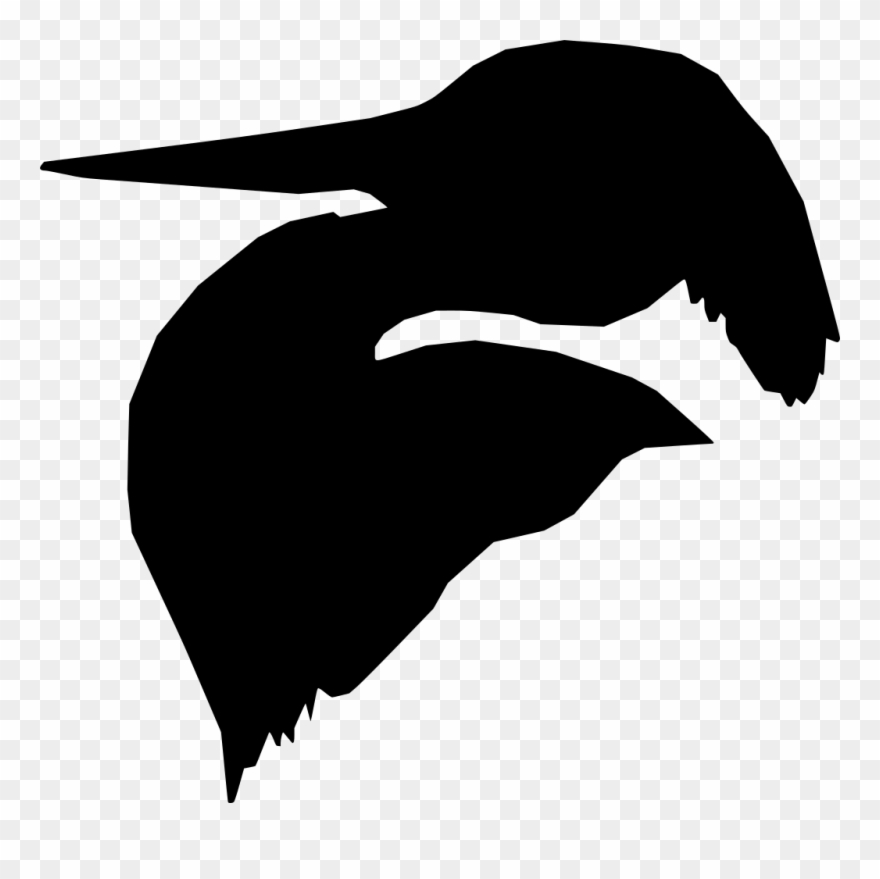 Download Png - Seabird Clipart