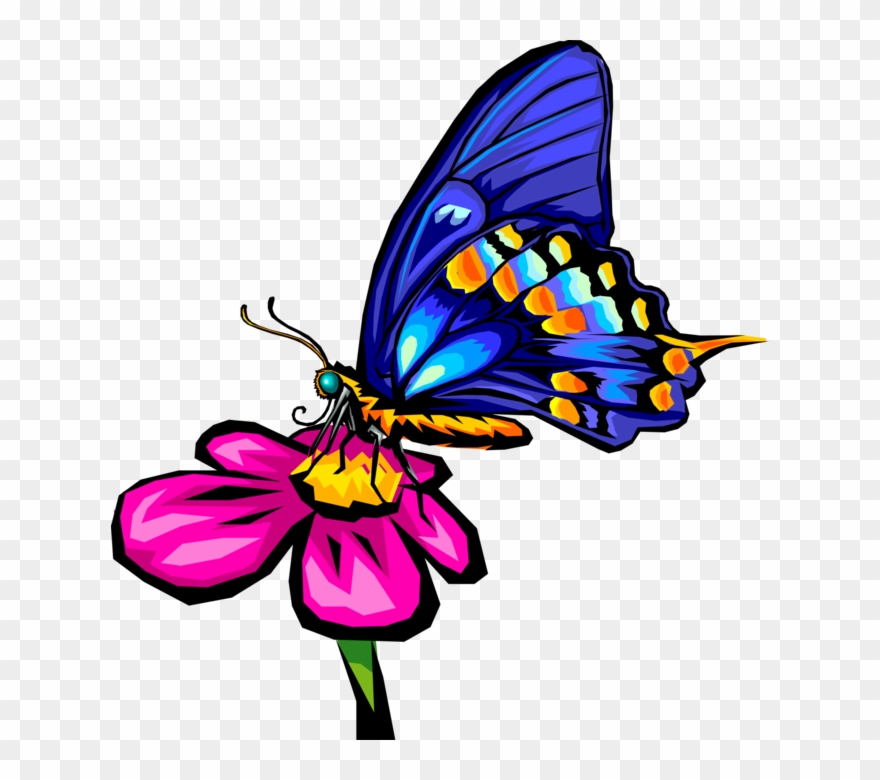 Vector Illustration Of Blue Butterfly Winged Insect - Butterfly On Flower Clip Art - Png Download