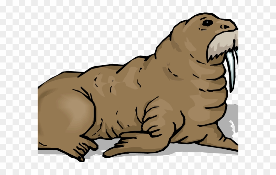 Baseball Walrus Cliparts - Walrus Clip Art - Png Download