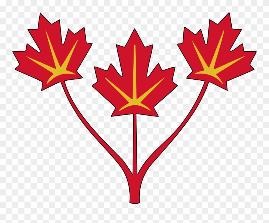 Three Maple Leaves Of Canada - Canadian Coat Of Arms Shield Clipart