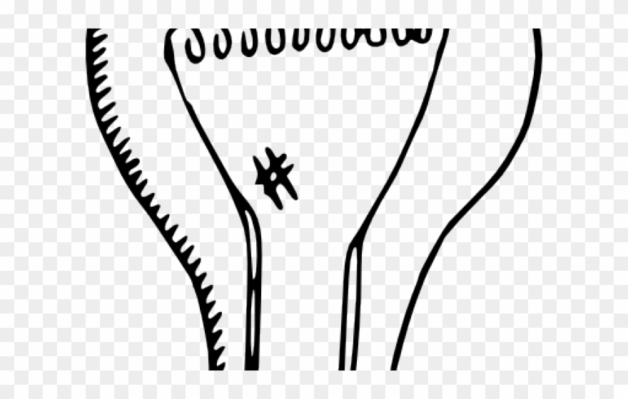 Drawn Light Bulb Black And White - Transparent Clip Art Light Bulb - Png Download