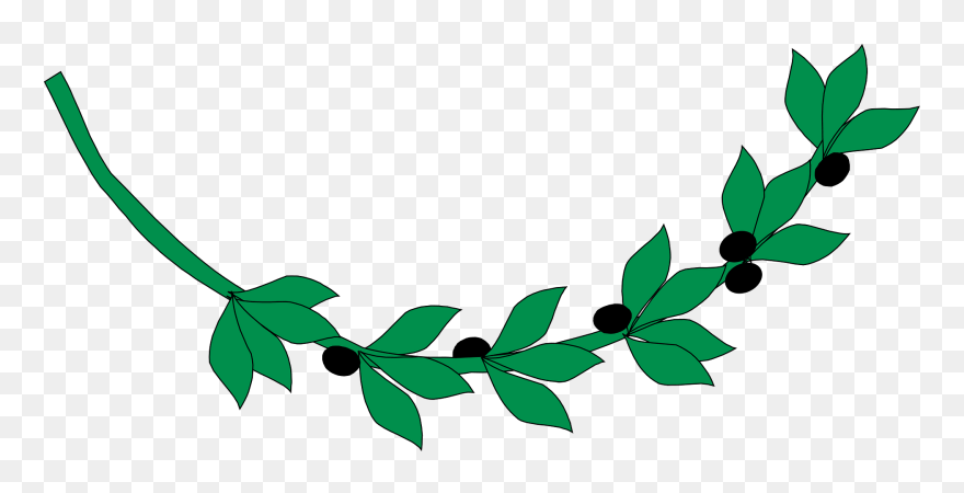 Olive Branch Ancient Greece Computer Icons Drawing - Clipart Olive Branch Leaves - Png Download