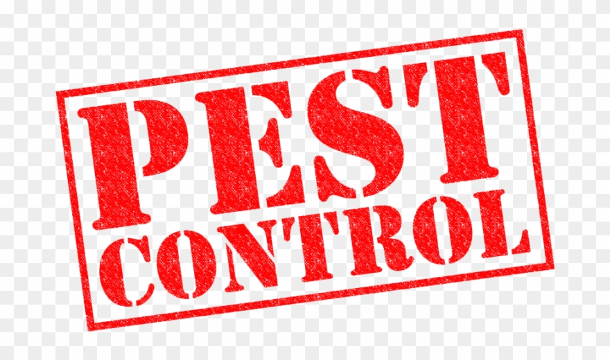 Home - Пест Контроль Clipart