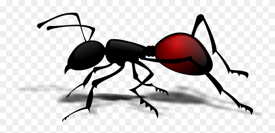 Vector Ant Cartoon Clip Art - Ant Body Part Worksheet - Png Download