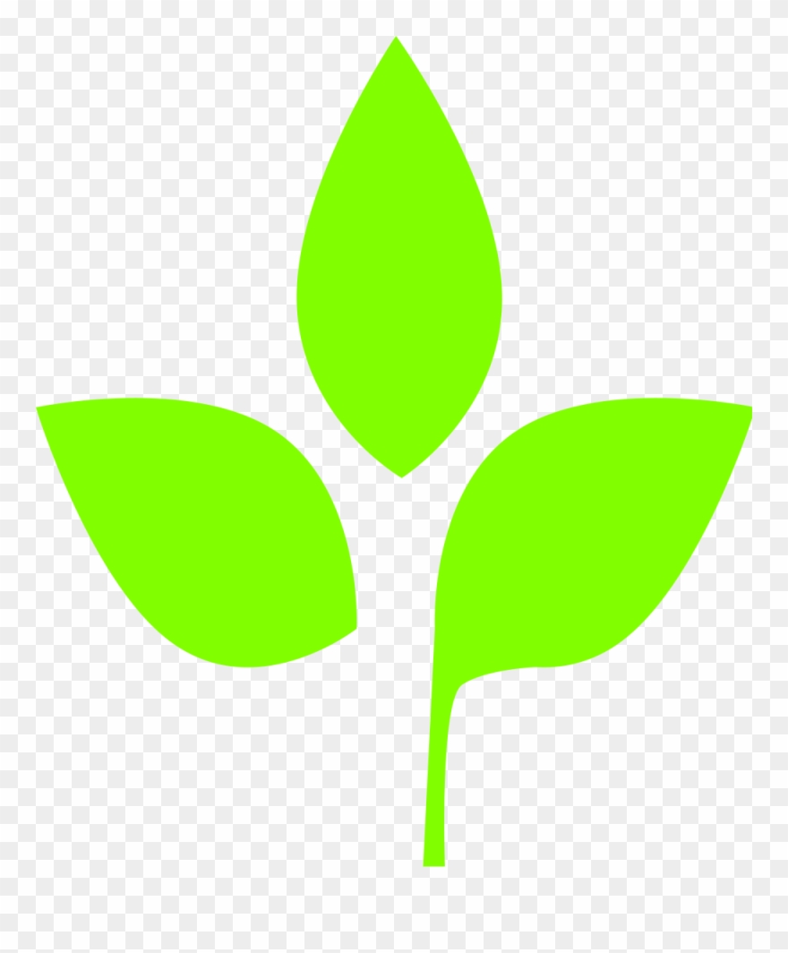 Leaf Icon Svg Clipart