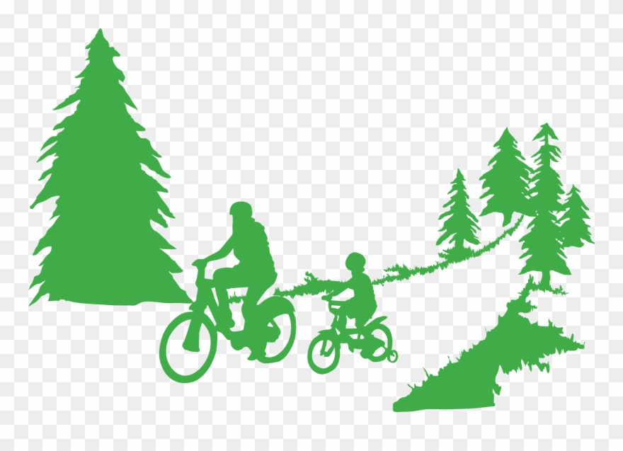 Cedar Lake Park Photos - Forest Trail Clipart - Png Download
