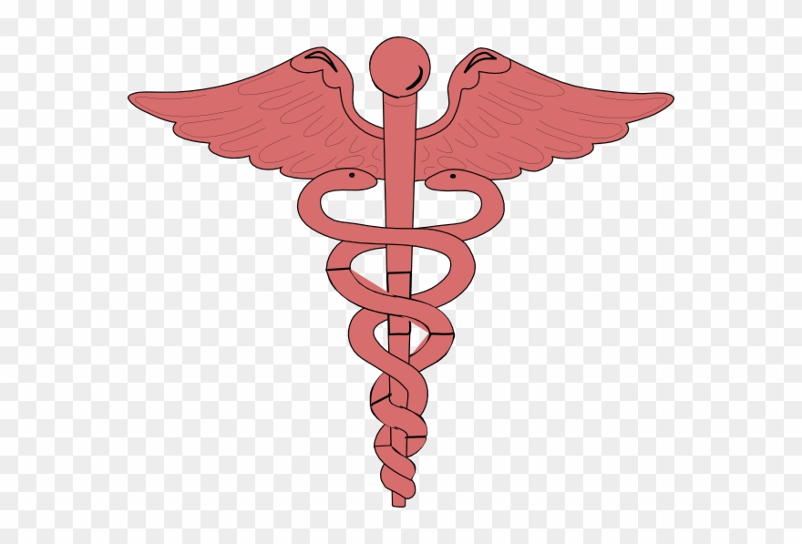 Nurse Rn Note Cards Clipart