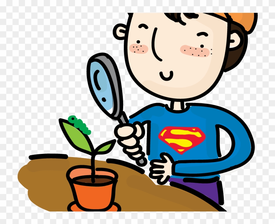 Clipart Ruler Teacher - Encuentra Las 3 Diferencias - Png Download