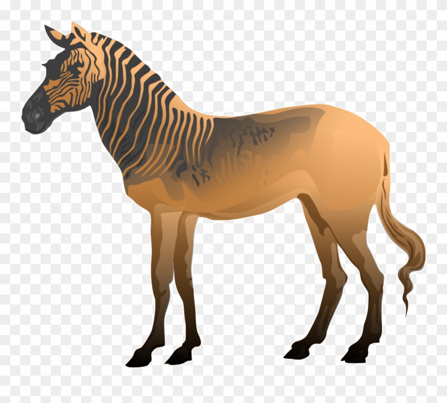 Free To Use &, Public Domain Extinct Animals Clip Art - Clipart Of Quagga - Png Download